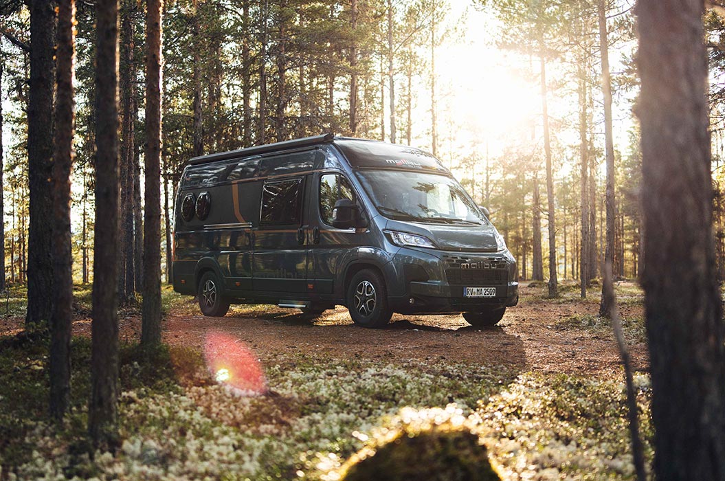 Ein dunkler Wohnmobilvan steht in einem sonnendurchfluteten Wald zwischen hohen Bäumen
